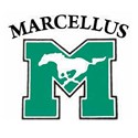 sports medicine near syracuse ny image of marcellus school logo