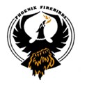 sports medicine near syracuse ny image of phoenix school logo