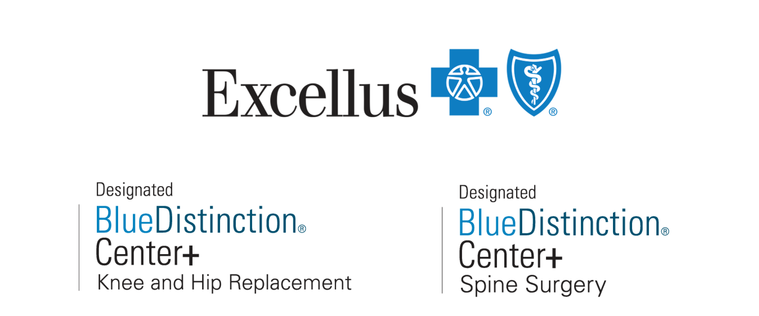 Excellus Blue Distinction Center Knee and Hip Replacement and Spine Surgery