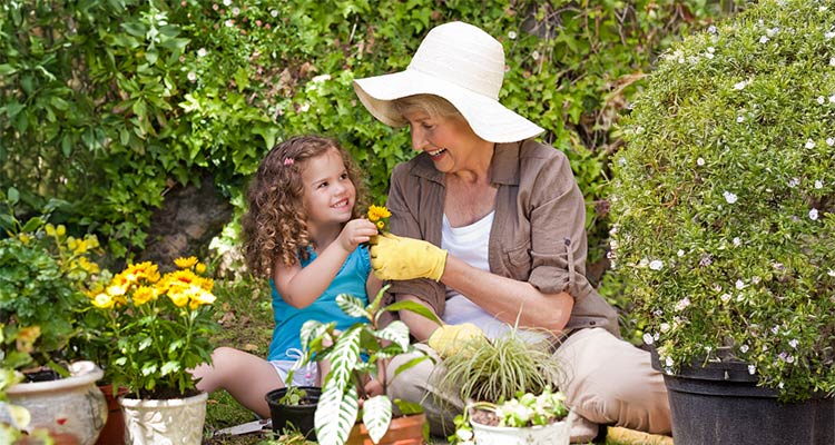 hip replacement near syracuse ny grandmother gardening with grandkid